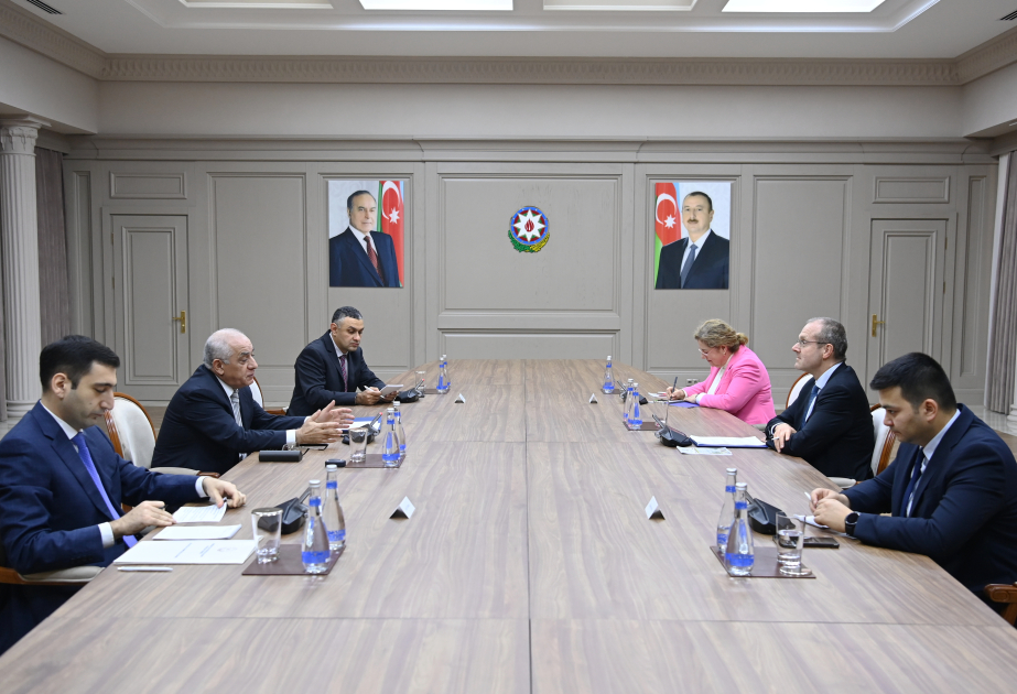 Azerbaijani PM meets with WHO Regional Director for Europe