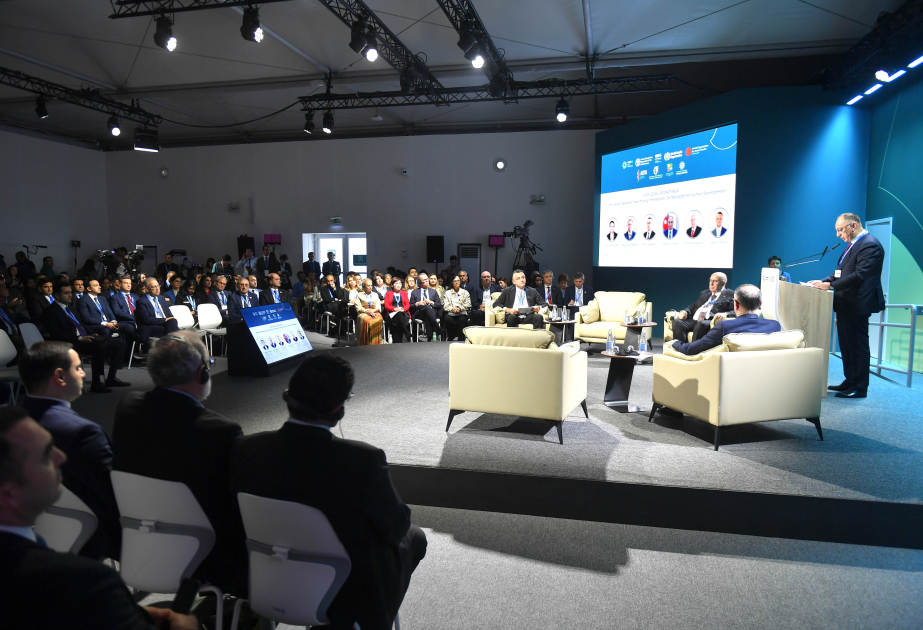Azerbaijan's National Strategy for One Health presented to international community at COP29