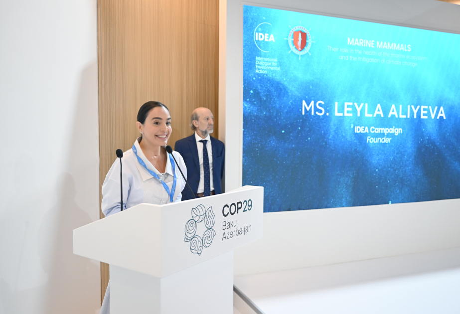 COP29 : Leyla Aliyeva participe aux discussions sur les mammifères marins
