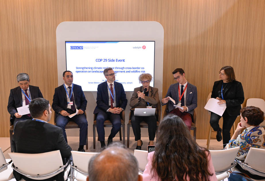 Les discussions sur la prévention des risques d'incendies de forêts menées dans le cadre de la COP29