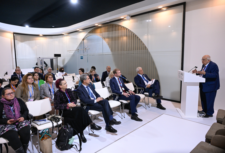 COP29 session highlights path from science to practice for just transitions in agro-food systems