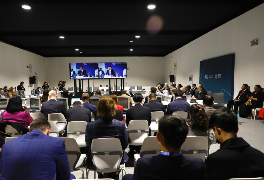 COP29 çərçivəsində Milli Uyğunlaşma Planlarına həsr olunmuş konfrans keçirilib