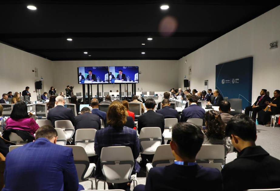 Conference on National Adaptation Plans held as part of COP29