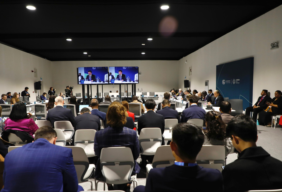 Une conférence consacrée aux plans nationaux d’adaptation tenue dans le cadre de la COP29