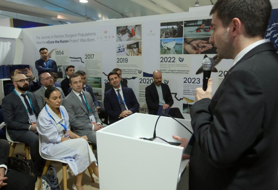 Leyla Aliyeva participe au relâchement des poissons dans la nature en Zone verte de la COP29