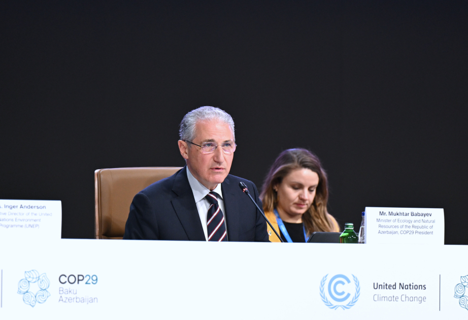 COP29-un Prezidenti: Karbon emissiyalarının 70 faizi şəhərlərin payına düşür VİDEO