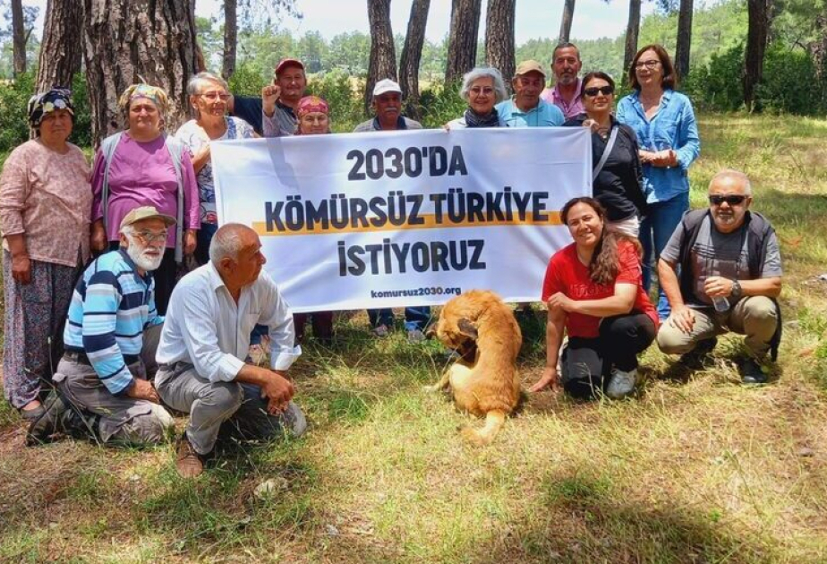 İqlim fəalları COP29 çərçivəsində Türkiyəni kömürdən imtina etməyə çağırıblar