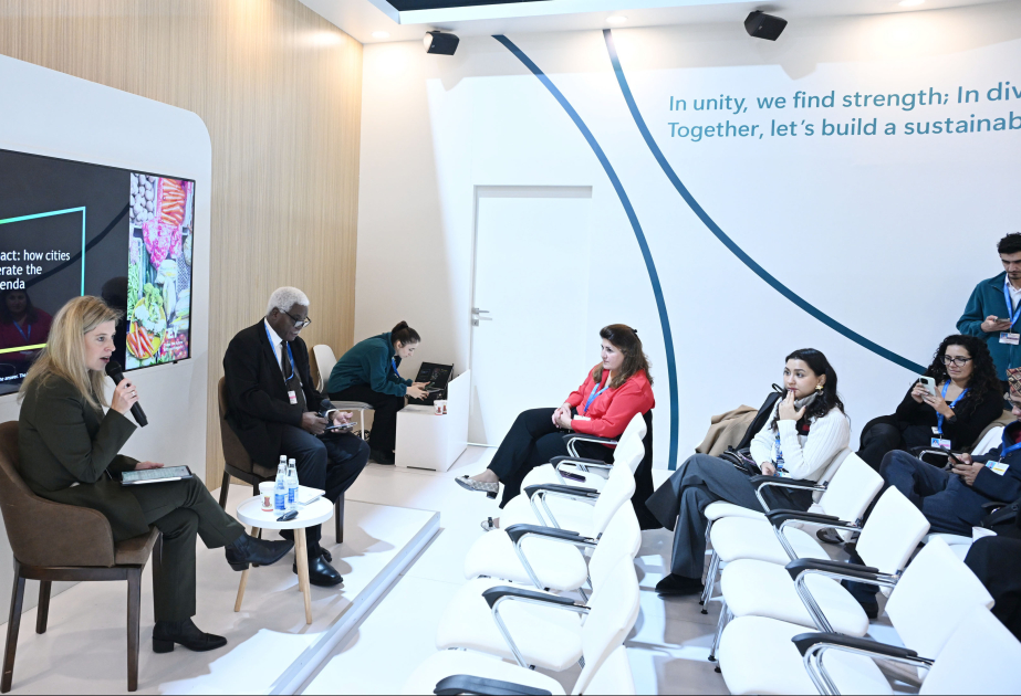 COP29-da “Şəhərlərin təsiri: Şəhər iqlim gündəliyini necə sürətləndirə bilər?” adlı tədbir keçirilib