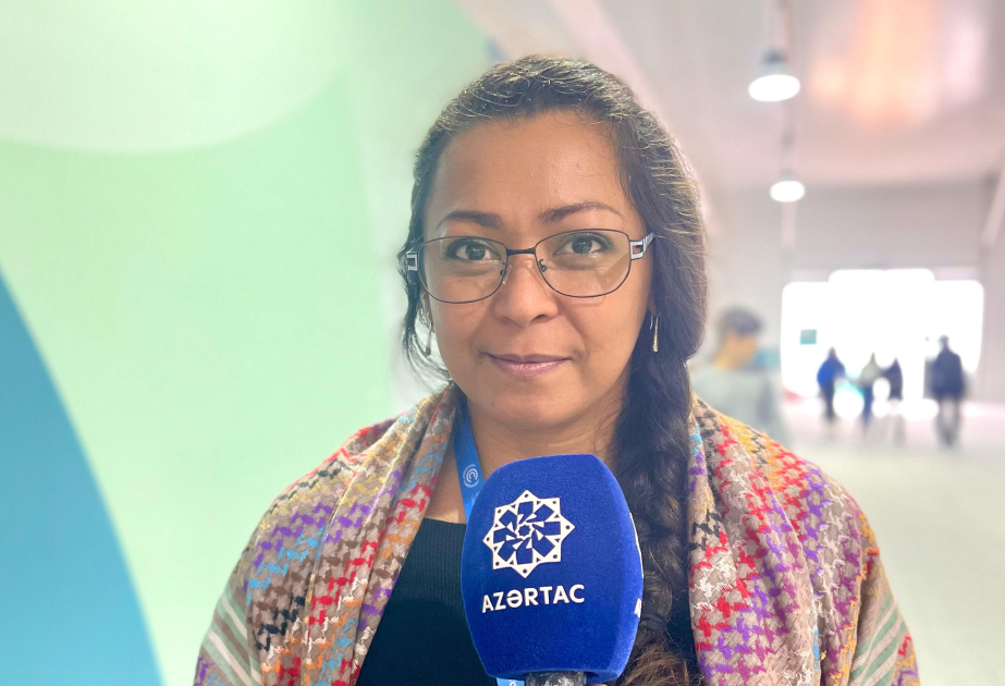 Madaqaskarlı iştirakçı: COP29 qlobal ekoloji problemlərin həlli üçün çox vacib tədbirdir