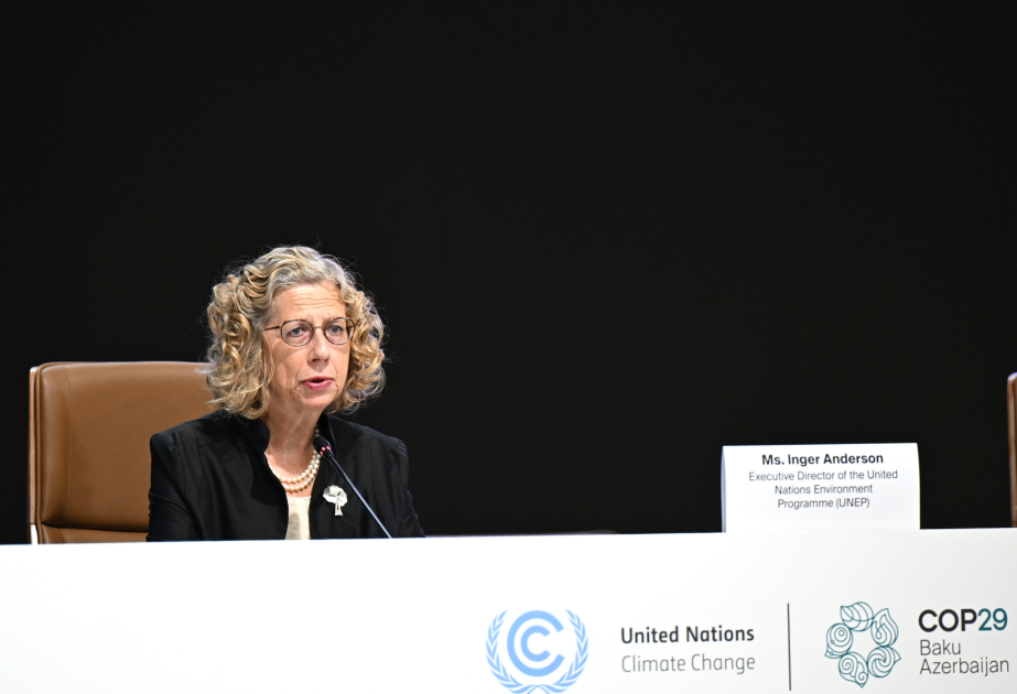 Directora ejecutiva del PNUMA: "El 52% de las emisiones mundiales de gases proceden de 25 megaciudades"