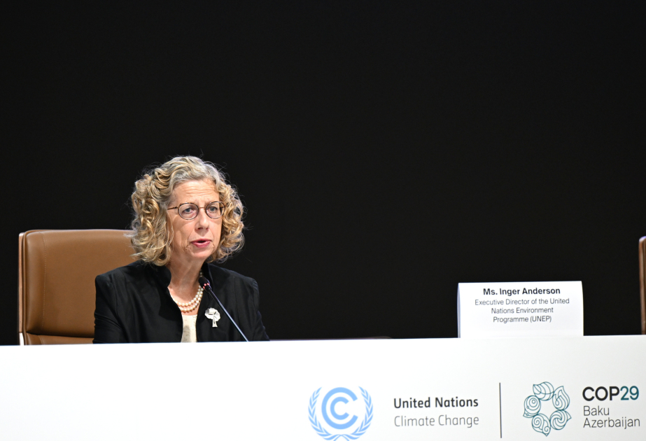 Inger Andersen : Les 25 mégapoles sont responsables de 52 % des émissions mondiales de gaz