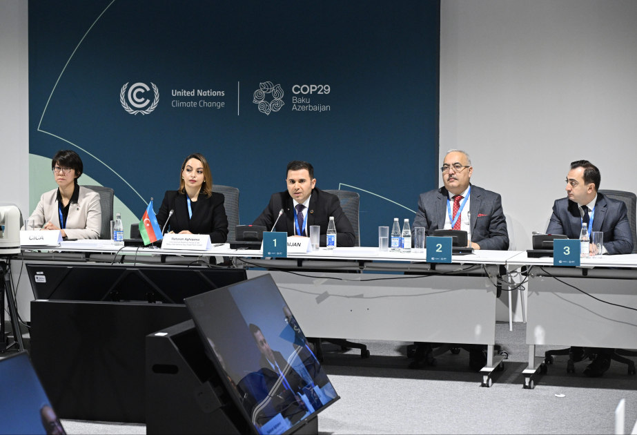 COP29 çərçivəsində CICA və ona üzv dövlətlərin Asiyada nəqliyyat dəhlizləri üçün səyləri müzakirə olunub