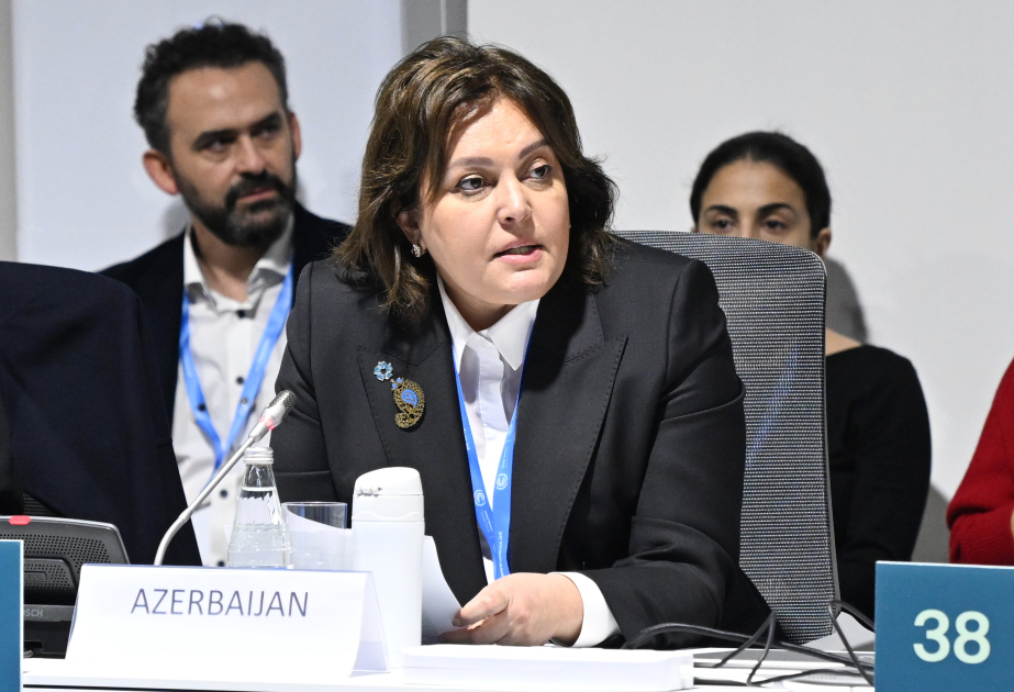 Umayra Tağıyeva: Qlobal istiləşmə şəhərlərdə daha tez-tez və ciddi şəkildə hiss edilən ekstremal hava hadisələri ilə özünü göstərir