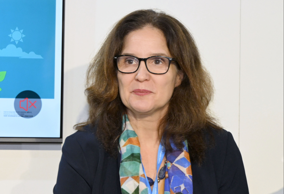 Beynəlxalq Əmək Təşkilatının regional direktoru: Yaşıl və ədalətli keçid yeni iş yerləri yaradacaq