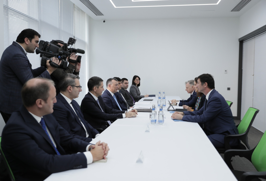 COP29 çərçivəsində BƏT-in regional direktoru ilə DOST Mərkəzində görüş olub