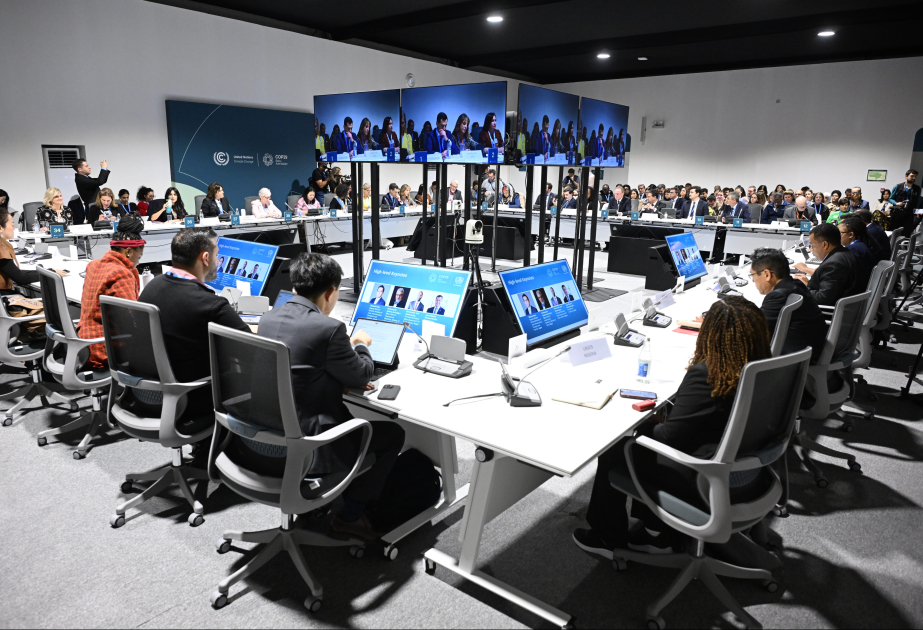 COP29-da şəhərlərdə təbiət, sağlamlıq və dayanıqlılıq mövzusunda dəyirmi masa təşkil olunub