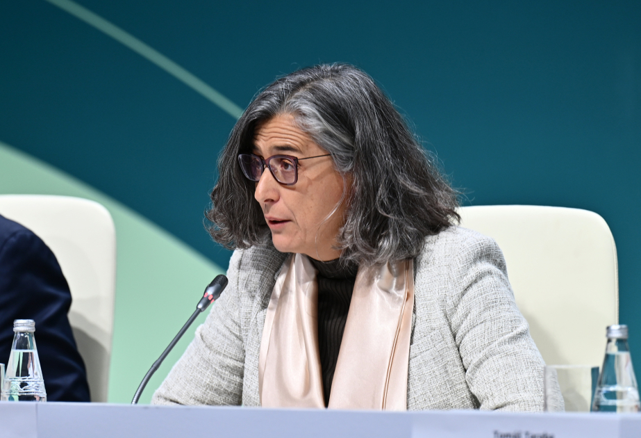 UN-HABITAT-ın icraçı direktoru: İnsanların şəhərlərə köçməsinin artması iqlim, ərzaq təhlükəsizliyi və ekosistem üçün təhdiddir