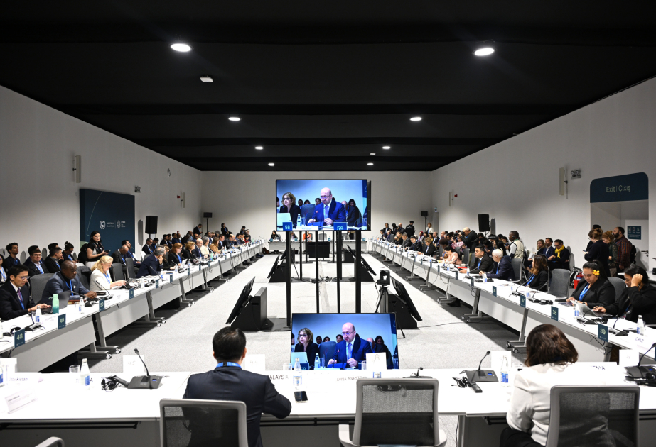 COP29-da şəhərlərdə iqlim dəyişikliyi ilə mübarizənin maliyyələşdirilməsi mövzusu müzakirə olunub