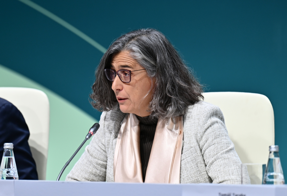 UN HABITAT: İyirmi ildən sonra 2,4 milyard insanın şəhərlərə köçəcəyi gözlənilir VİDEO