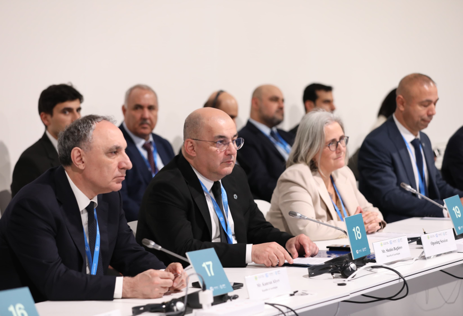 COP29-da aparıcı gömrük rəsmilərinin dialoqu olub