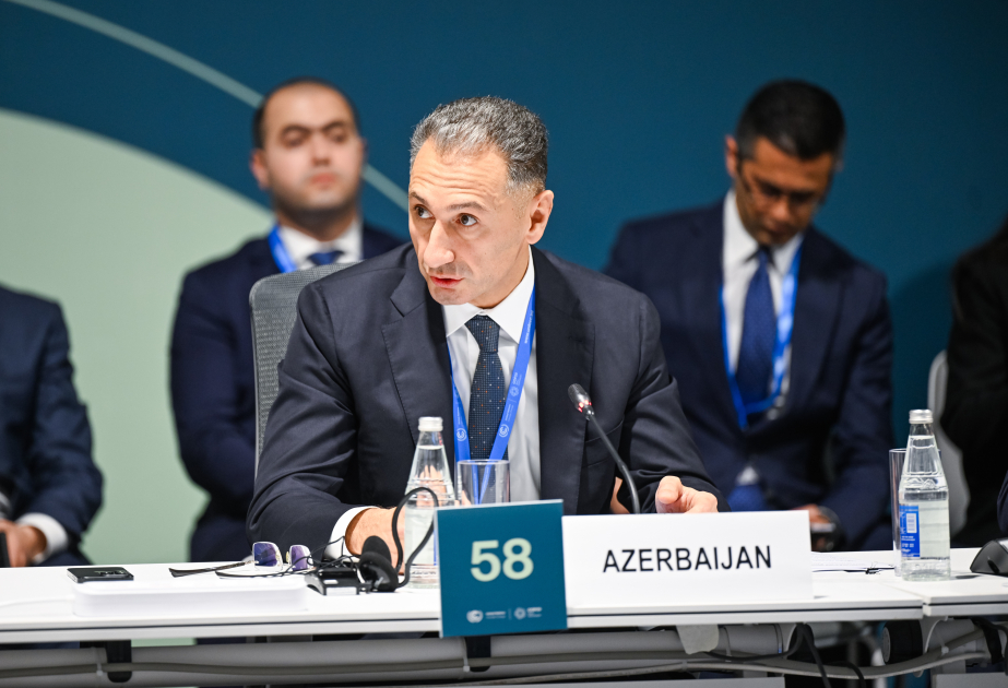 Rəşad Nəbiyev: 2025-ci ildən alternativ enerji mənbələrindən istifadənin genişləndirilməsi planlaşdırılır