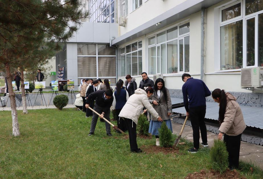 Daşkənddə COP29-a həsr olunmuş ağacəkmə aksiyası keçirilib