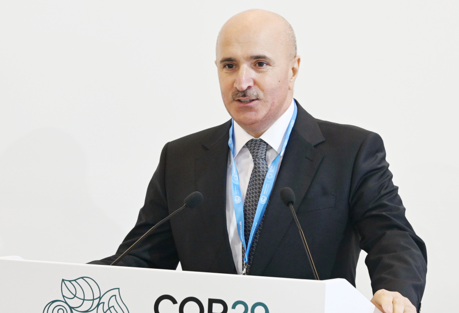 В рамках COP29 обсуждена тема «Путешествие в будущее: декарбонизация в морском секторе для устойчивого завтра»