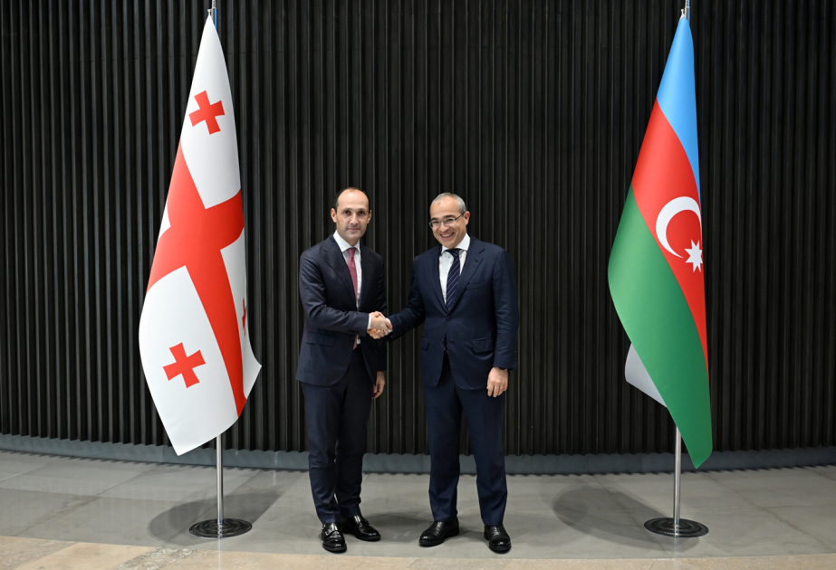Azərbaycan ilə Gürcüstan arasında iqtisadi əməkdaşlığın gücləndirilməsi müzakirə olunub