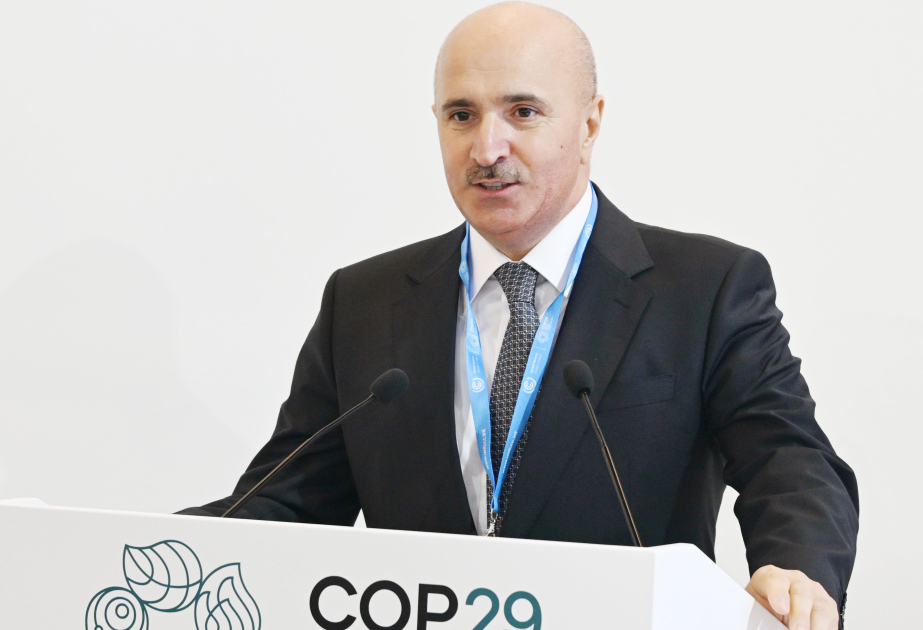 COP29 çərçivəsində “Gələcəyə səfər: dayanıqlı sabah üçün dənizçilikdə dekarbonizasiya” mövzusunda müzakirələr aparılıb