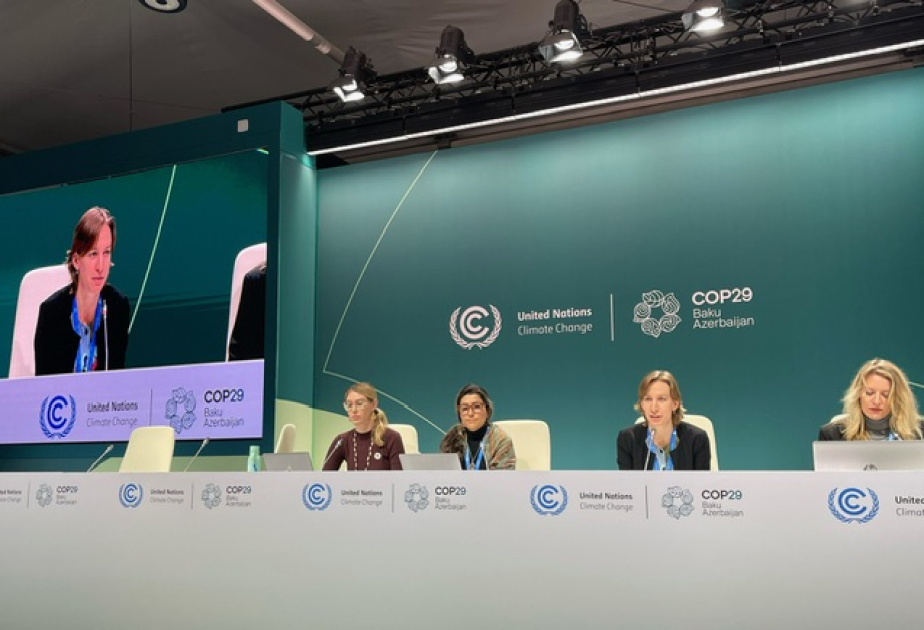 Pressekonferenzen im Rahmen der COP29-Plattform