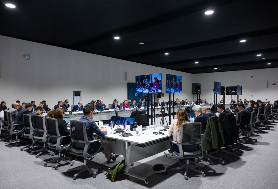 Roundtable on sustainable and digital Middle Corridor held as part of COP29