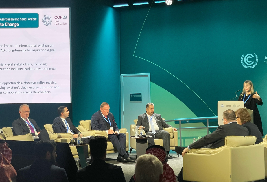 Une table ronde sur « L’aviation internationale et le changement climatique » organisée dans le cadre de la COP29