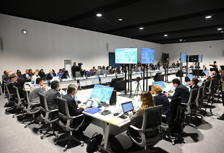 Ekoloji təmiz nəqliyyat vasitələrinin dövriyyəsinin stimullaşdırılması ilə bağlı görülən işlər COP29-da təqdim olunub