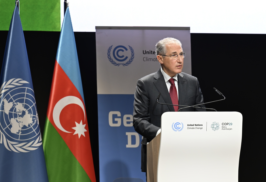 Nazir: Aşağı karbonlu iqtisadiyyata keçid gender bərabərliyinin təşviqi ilə müşayiət olunmalıdır