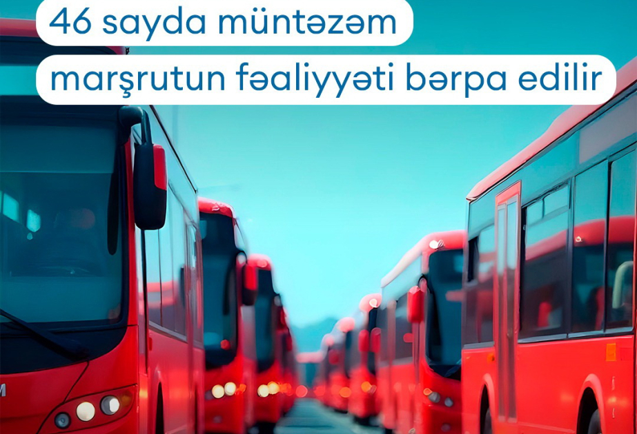 Noyabrın 25-dən Bakıda 46 avtobus marşrutunun fəaliyyəti bərpa edilir
