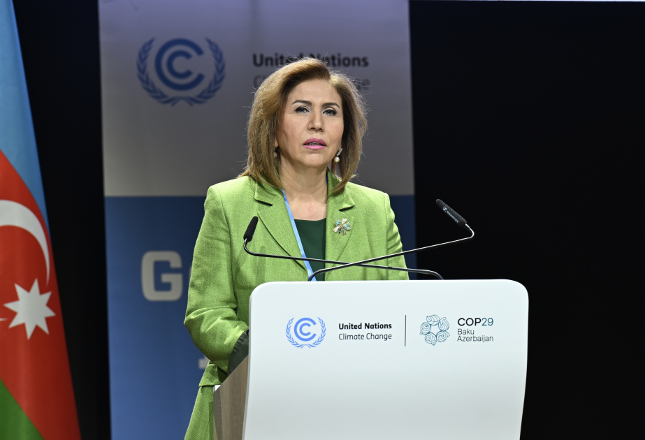 Bahar Muradova: Səylərin birləşdirilməsi ekoloji problemlərdən minimal itkilərlə çıxmağın əsas şərtidir VİDEO