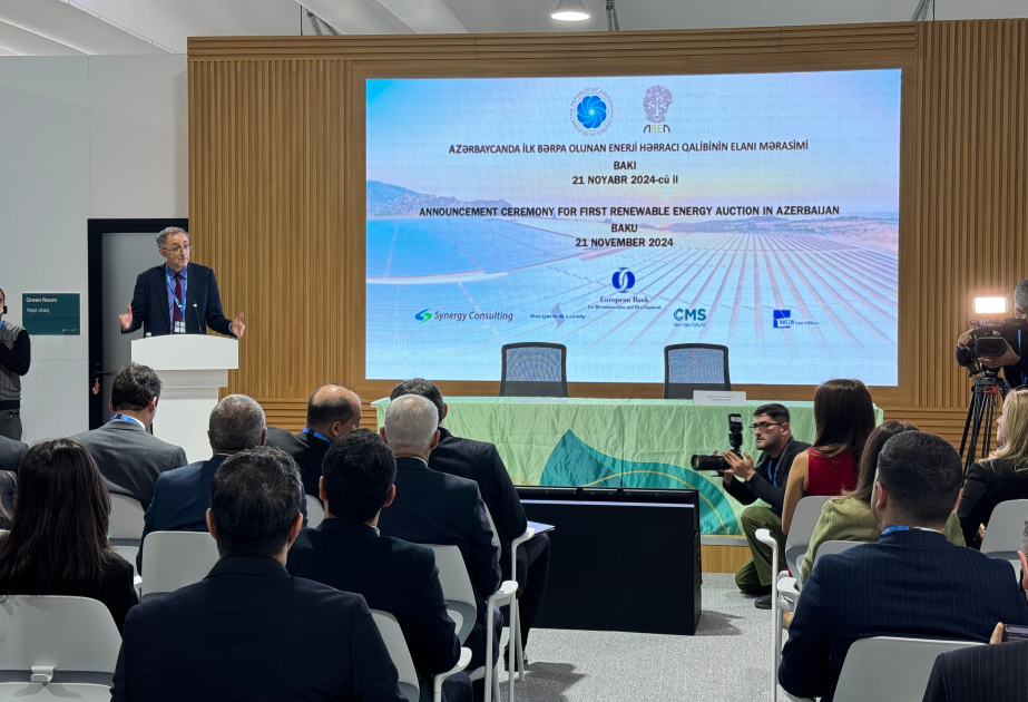 Foreign investor selected for Gobustan Solar Power Plant construction