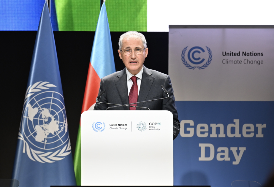 COP29 çərçivəsində “Şəffaflıqda gender” mövzusunda yüksəksəviyyəli tədbir keçirilib VİDEO