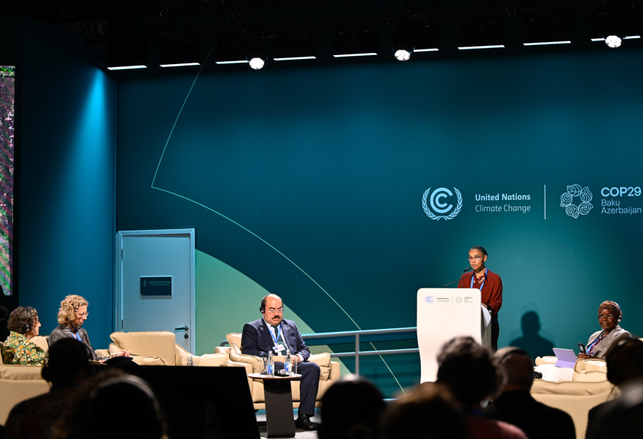 COP29-da meşələr üçün iqlim maliyyəsinin artırılması məsələsi müzakirə edilib VİDEO