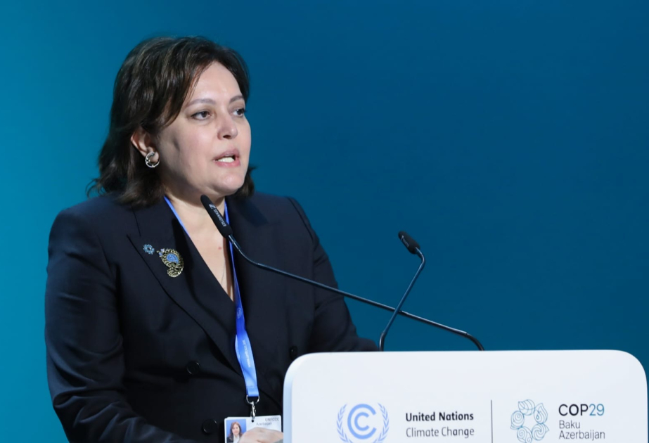 Gələn il Azərbaycan davamlı meşəçilik və biomüxtəlifliklə bağlı beynəlxalq konfransa ev sahibliyi edəcək