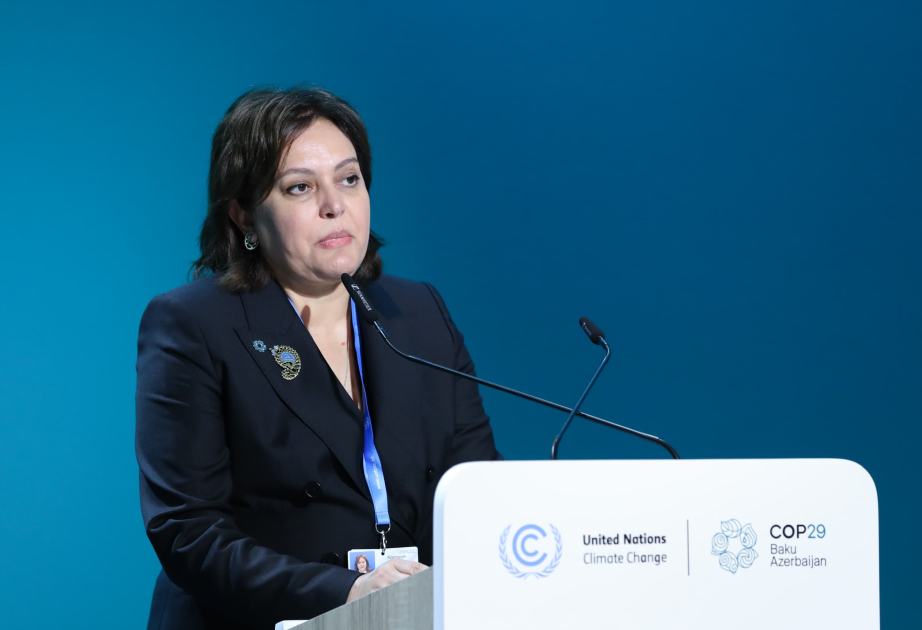 Umayra Tağıyeva: Meşələr üçün iqlim maliyyələşməsi səfərbər edilməlidir VİDEO