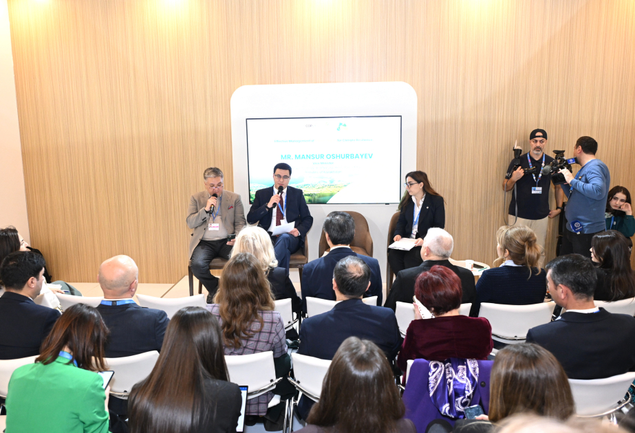 Effective management of plastic waste discussed at COP29