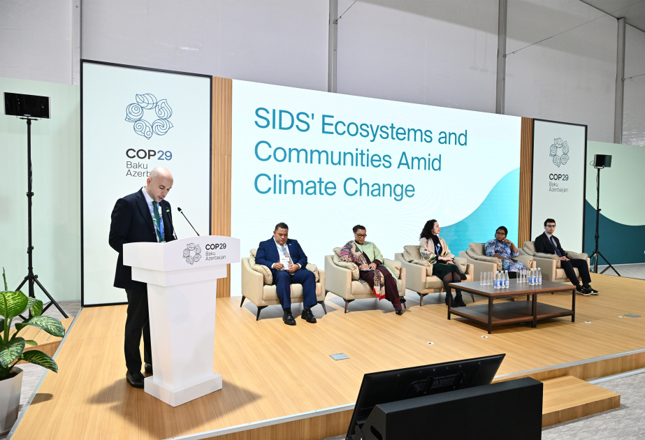 На COP29 обсуждены экосистемы малых островных государств и общин