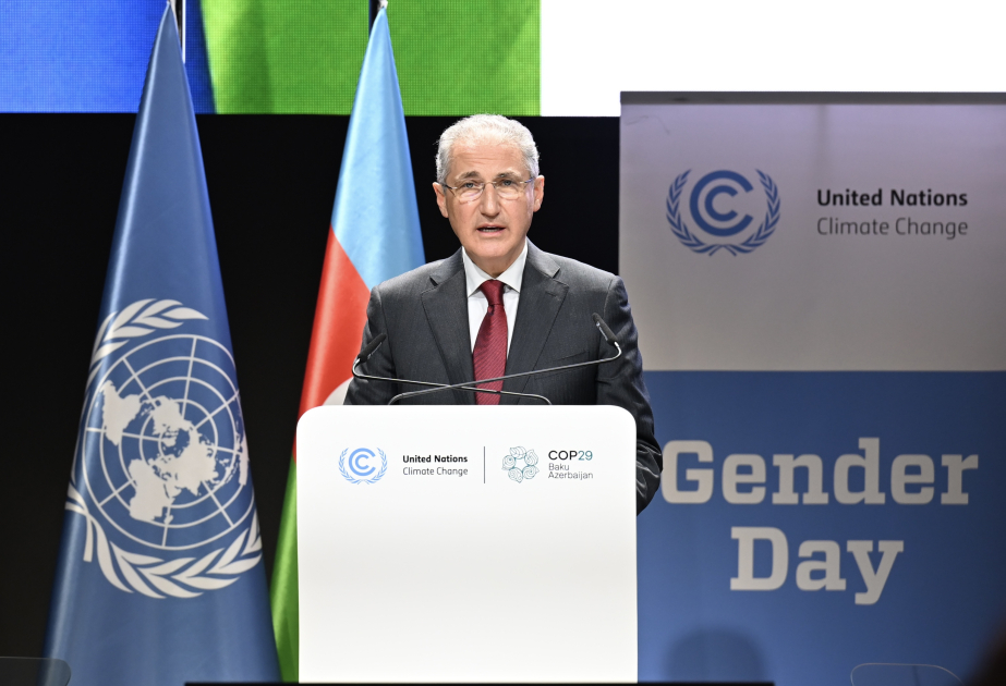 COP29 features high-level event on “Gender in Transparency”