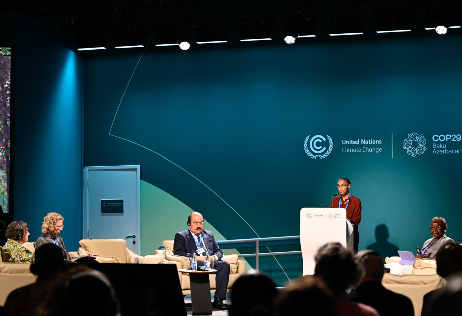 На COP29 обсуждался вопрос увеличения климатического финансирования лесов ВИДЕО