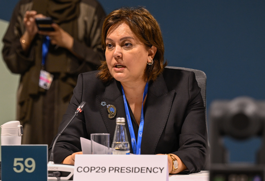 COP29 çərçivəsində Rio-Trio Təşəbbüsünə həsr olunmuş tədbir keçirilib VİDEO