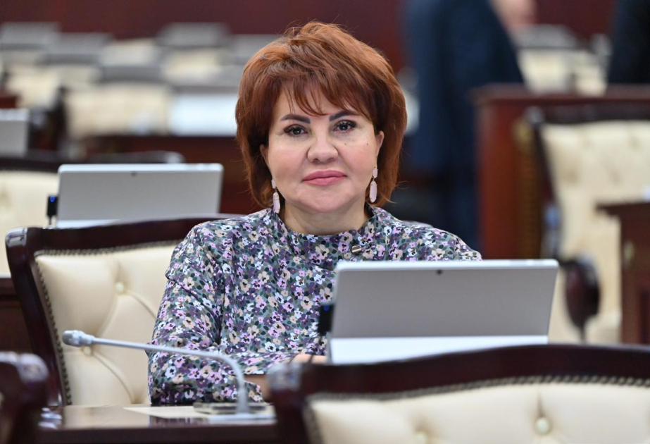 COP29 ictimaiyyətin ekoloji məsələlərə həssaslığını və bu mövzuda məlumatlılığı daha da artıracaq - RƏY