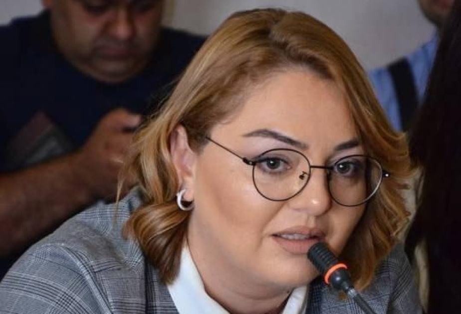 Azərbaycan hökuməti ekoloji təmiz enerji təşəbbüslərini bundan sonra da dəstəkləyəcək, özəl sektor isə yatırımları artıracaq - ŞƏRH