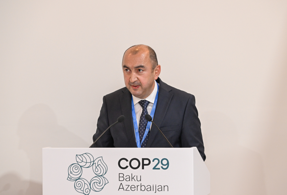 Nazir müavini: 150-dən çox ölkə transsərhəd çaylardan asılıdır
