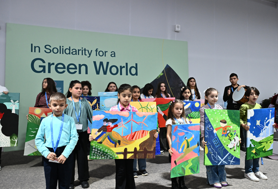 Social & Ecological Center EkoSfera hosts event at COP29